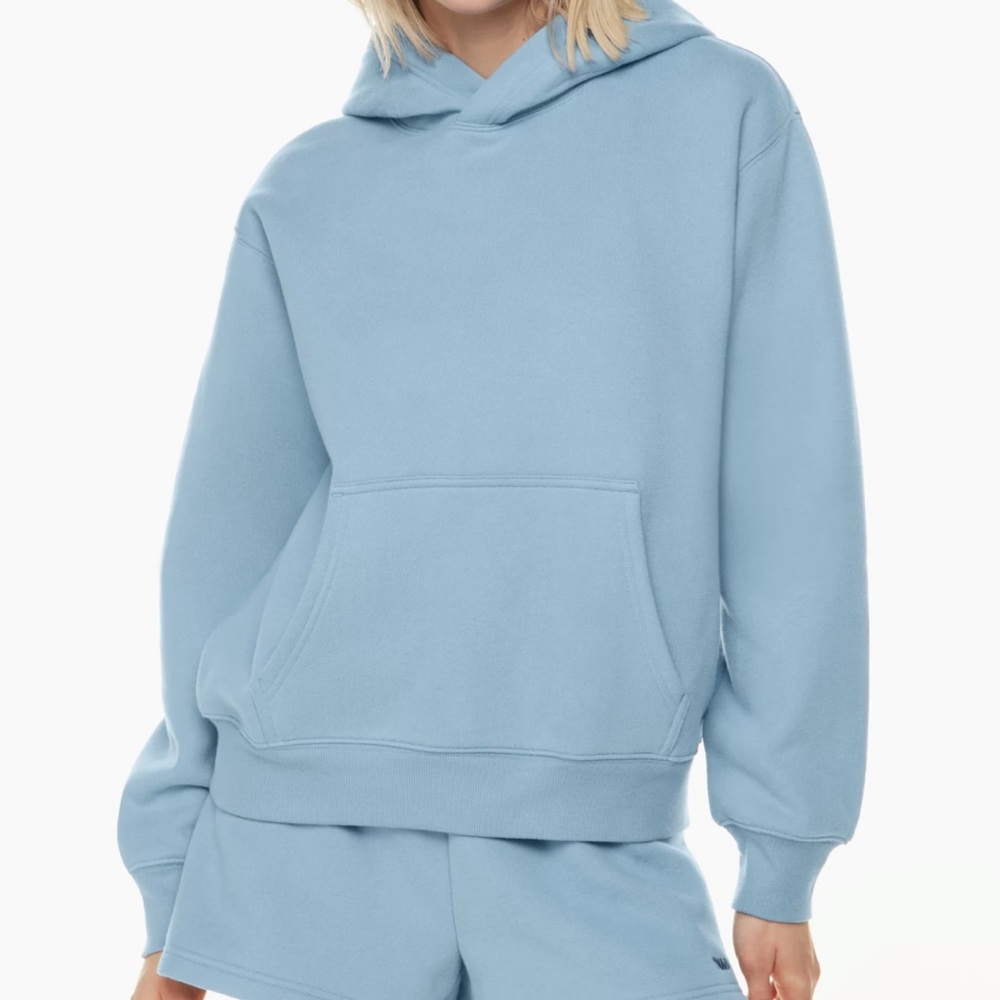 Aritzia Cozy Fleece Perfect Hoodie